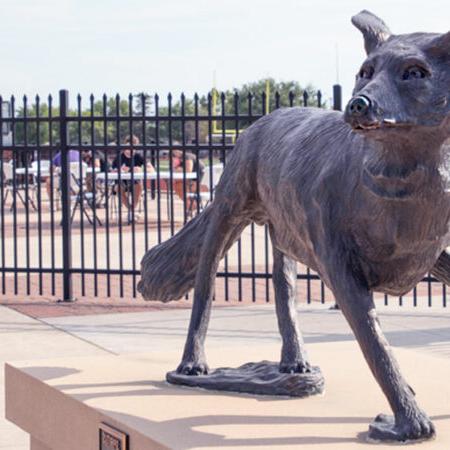 Coyote statue